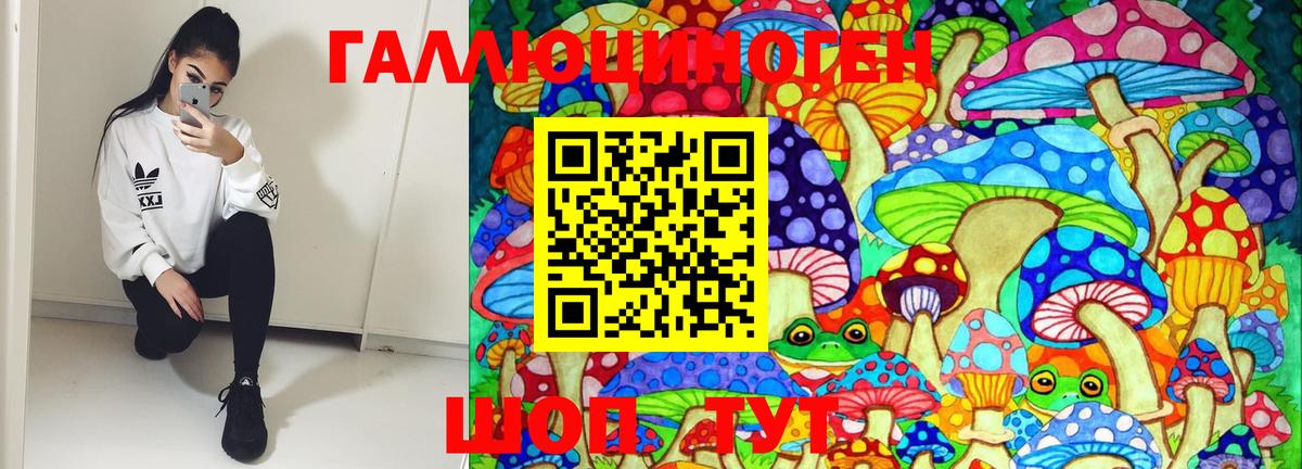 Псилоцибиновые грибы Magic Shrooms  сколько стоит  Свободный  Вход с VPN  Галлюциногенные грибы MAGIC MUSHROOMS 